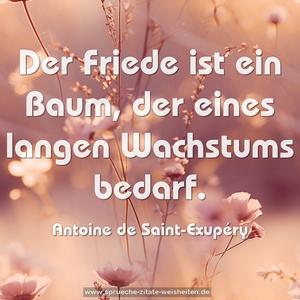 Der Friede ist ein Baum,
der eines langen Wachstums bedarf.