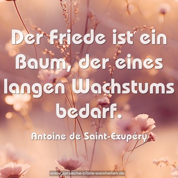 Der Friede ist ein Baum,
der eines langen Wachstums bedarf.