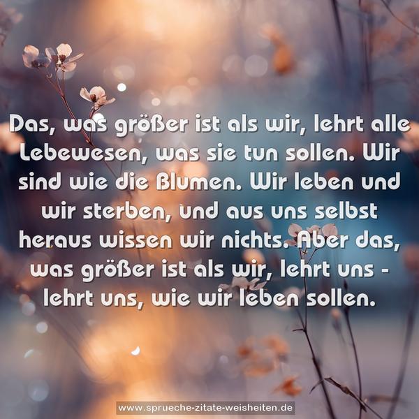 Das, was größer ist als wir, lehrt alle Lebewesen, was sie tun sollen. Wir sind wie die Blumen. Wir leben und wir sterben,
und aus uns selbst heraus wissen wir nichts.
Aber das, was größer ist als wir, lehrt uns - lehrt uns, wie wir leben sollen.