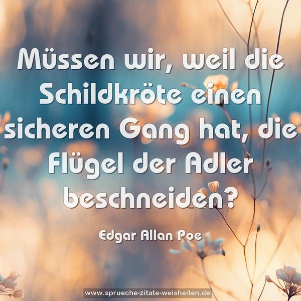 Müssen wir, weil die Schildkröte einen sicheren Gang hat,
die Flügel der Adler beschneiden?