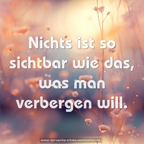 Nichts ist so sichtbar wie das,
was man verbergen will.