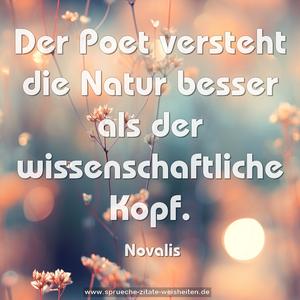 Der Poet versteht die Natur besser
als der wissenschaftliche Kopf.