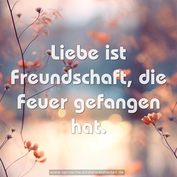 Liebe ist Freundschaft, die Feuer gefangen hat.