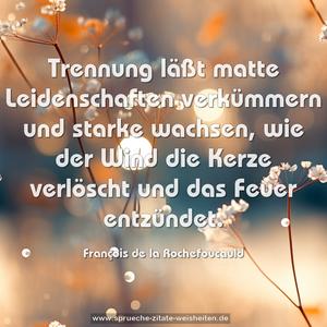 Trennung läßt matte Leidenschaften verkümmern
und starke wachsen,
wie der Wind die Kerze verlöscht und das Feuer entzündet. 