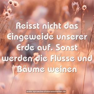 Reisst nicht das Eingeweide unserer Erde auf.
Sonst werden die Flüsse und Bäume weinen
