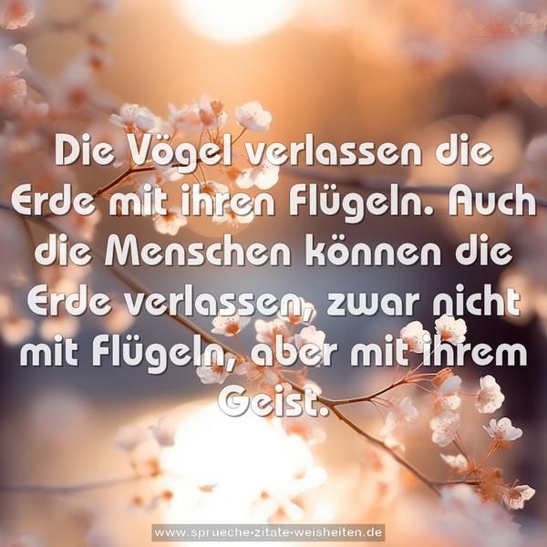 Die Vögel verlassen die Erde mit ihren Flügeln.
Auch die Menschen können die Erde verlassen,
zwar nicht mit Flügeln, aber mit ihrem Geist.