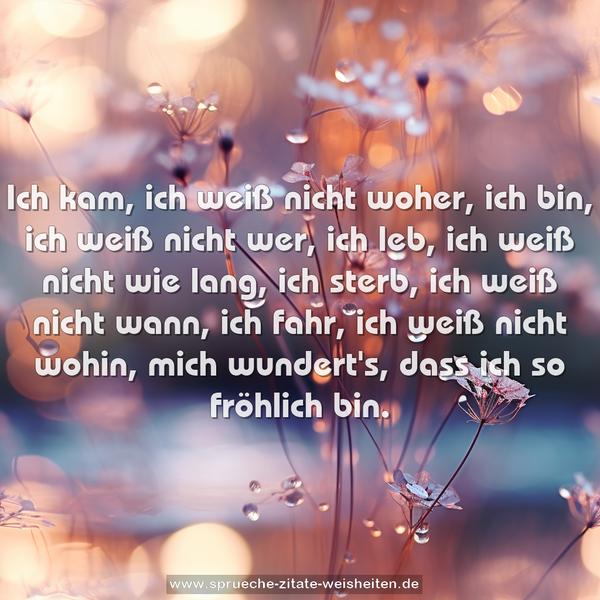 Ich kam, ich weiß nicht woher,
ich bin, ich weiß nicht wer,
ich leb, ich weiß nicht wie lang,
ich sterb, ich weiß nicht wann,
ich fahr, ich weiß nicht wohin,
mich wundert's, dass ich so fröhlich bin.