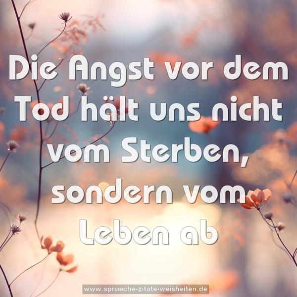 Die Angst vor dem Tod
hält uns nicht vom Sterben,
sondern vom Leben ab