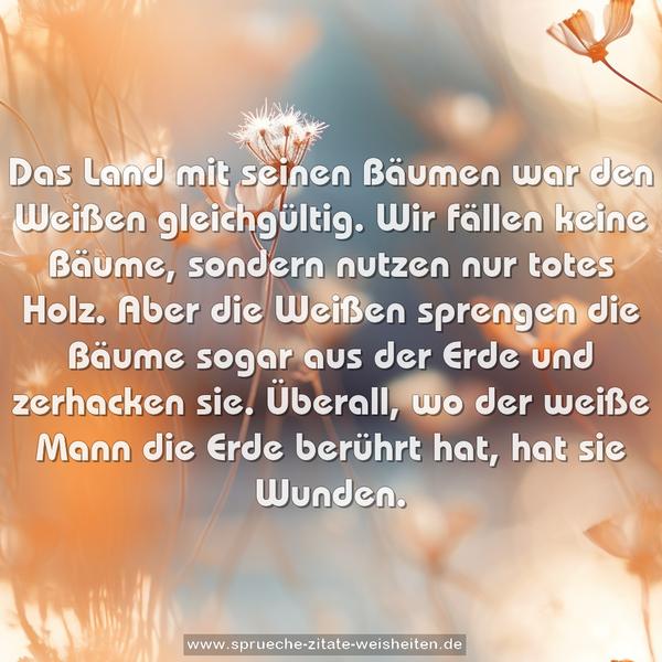 Das Land mit seinen Bäumen war den Weißen gleichgültig.
Wir fällen keine Bäume, sondern nutzen nur totes Holz.
Aber die Weißen sprengen die Bäume sogar
aus der Erde und zerhacken sie.
Überall, wo der weiße Mann die Erde berührt hat, hat sie Wunden.
