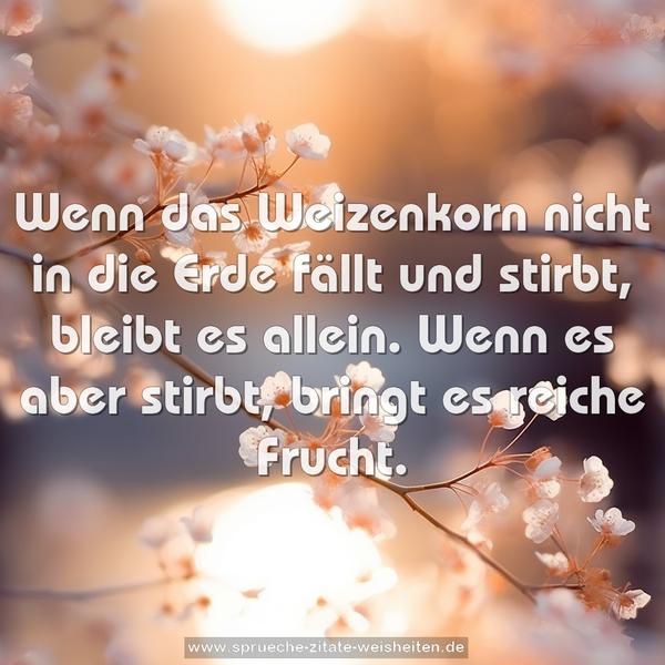 Wenn das Weizenkorn nicht in die Erde fällt und stirbt,
bleibt es allein.
Wenn es aber stirbt, bringt es reiche Frucht.