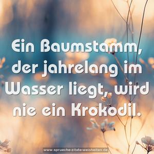 Ein Baumstamm,
der jahrelang im Wasser liegt,
wird nie ein Krokodil.