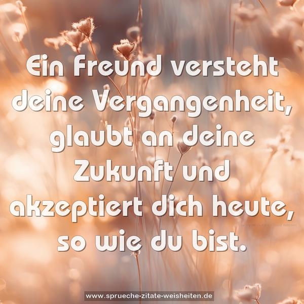 Ein Freund
versteht deine Vergangenheit,
glaubt an deine Zukunft
und akzeptiert dich heute, so wie du bist.