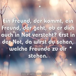 Ein Freund, der kommt, ein Freund, der geht,
ob er dich auch in Not versteht?
Erst in der Not, da wirst du sehen,
welche Freunde zu dir stehen.