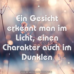 Ein Gesicht erkennt man im Licht,
einen Charakter auch im Dunklen