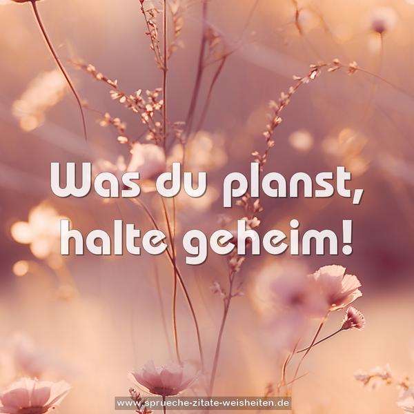 Was du planst, halte geheim!