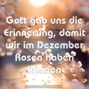 Gott gab uns die Erinnerung,
damit wir im Dezember Rosen haben können