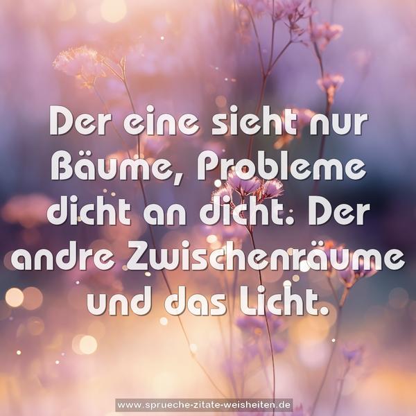 Der eine sieht nur Bäume, Probleme dicht an dicht.
Der andre Zwischenräume und das Licht.