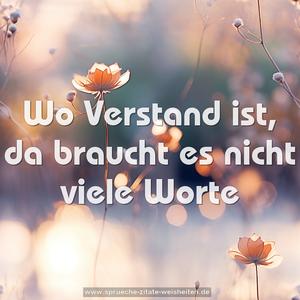 Wo Verstand ist,
da braucht es nicht viele Worte