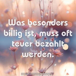 Was besonders billig ist,
muss oft teuer bezahlt werden.