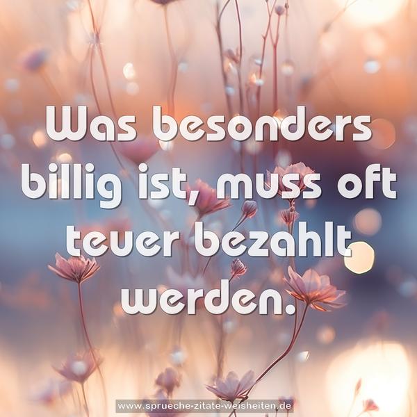 Was besonders billig ist,
muss oft teuer bezahlt werden.