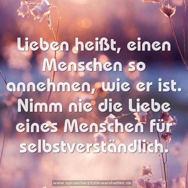 Lieben heißt, einen Menschen so annehmen, wie er ist.
Nimm nie die Liebe eines Menschen für selbstverständlich.