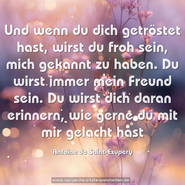 Und wenn du dich getröstet hast,
wirst du froh sein, mich gekannt zu haben.
Du wirst immer mein Freund sein.
Du wirst dich daran erinnern,
wie gerne du mit mir gelacht hast