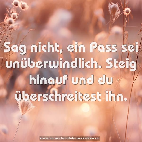 Sag nicht, ein Pass sei unüberwindlich.
Steig hinauf und du überschreitest ihn.