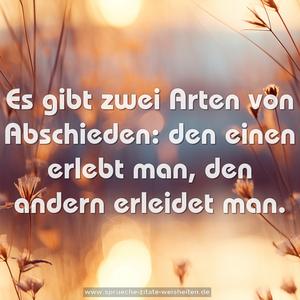 Es gibt zwei Arten von Abschieden:
den einen erlebt man, den andern erleidet man.