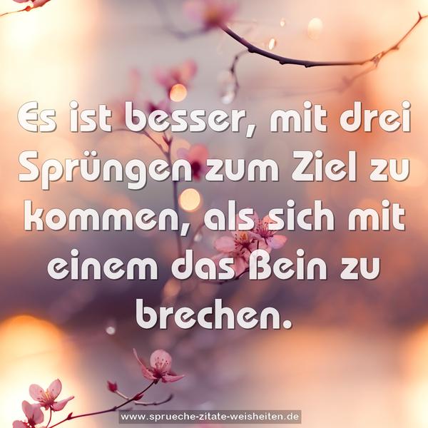 Es ist besser, mit drei Sprüngen zum Ziel zu kommen,
als sich mit einem das Bein zu brechen.