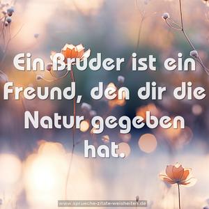 Ein Bruder ist ein Freund, den dir die Natur gegeben hat.