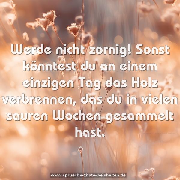 Werde nicht zornig!
Sonst könntest du an einem einzigen Tag das Holz verbrennen,
das du in vielen sauren Wochen gesammelt hast.