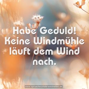 Habe Geduld!
Keine Windmühle läuft dem Wind nach.