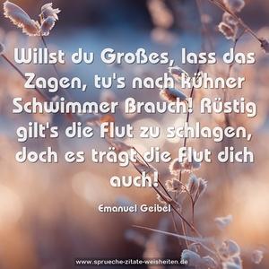 Willst du Großes, lass das Zagen,
tu's nach kühner Schwimmer Brauch!
Rüstig gilt's die Flut zu schlagen,
doch es trägt die Flut dich auch!