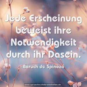 Jede Erscheinung beweist ihre Notwendigkeit durch ihr Dasein.