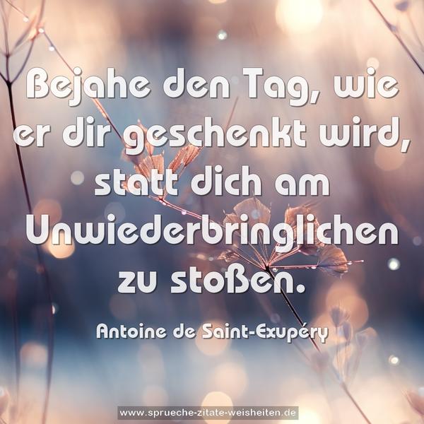 Bejahe den Tag, wie er dir geschenkt wird,
statt dich am Unwiederbringlichen zu stoßen.