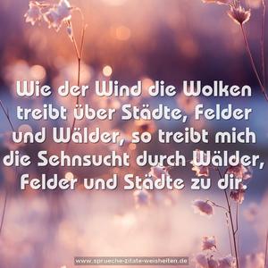 Wie der Wind die Wolken treibt über Städte, Felder und Wälder, so treibt mich die Sehnsucht durch Wälder, Felder und Städte zu dir.