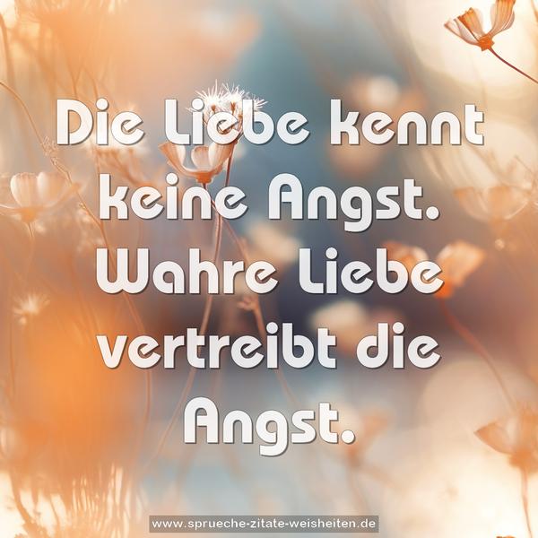 Die Liebe kennt keine Angst.
Wahre Liebe vertreibt die Angst.