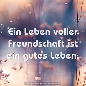 Ein Leben voller Freundschaft ist ein gutes Leben.