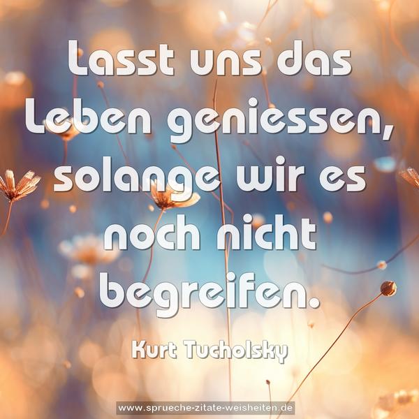 Lasst uns das Leben geniessen,
solange wir es noch nicht begreifen.