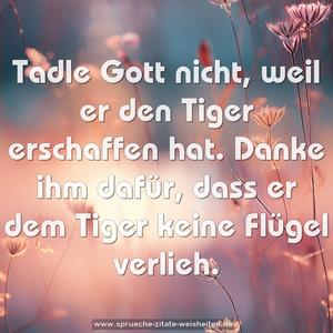 Tadle Gott nicht, weil er den Tiger erschaffen hat.
Danke ihm dafür, dass er dem Tiger keine Flügel verlieh.