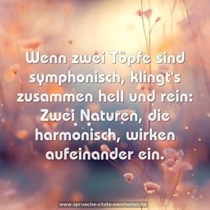 Wenn zwei Töpfe sind symphonisch,
klingt's zusammen hell und rein:
Zwei Naturen, die harmonisch,
wirken aufeinander ein.