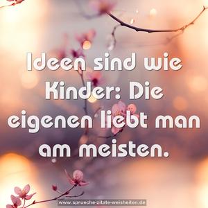 Ideen sind wie Kinder:
Die eigenen liebt man am meisten.