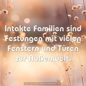 Intakte Familien sind Festungen 
mit vielen Fenstern und Türen zur Außenwelt.

