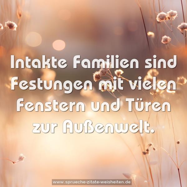 Intakte Familien sind Festungen
mit vielen Fenstern und Türen zur Außenwelt.
