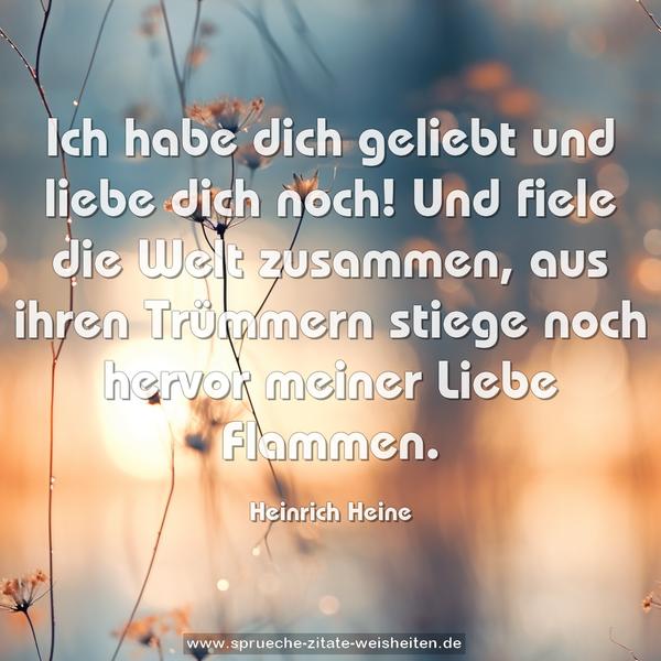 Ich habe dich geliebt und liebe dich noch!
Und fiele die Welt zusammen, aus ihren Trümmern stiege noch hervor meiner Liebe Flammen.
