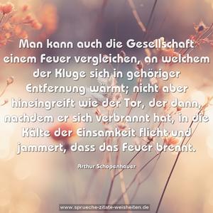 Man kann auch die Gesellschaft einem Feuer vergleichen,
an welchem der Kluge sich in gehöriger Entfernung wärmt;
nicht aber hineingreift wie der Tor,
der dann, nachdem er sich verbrannt hat,
in die Kälte der Einsamkeit flieht und jammert,
dass das Feuer brennt.