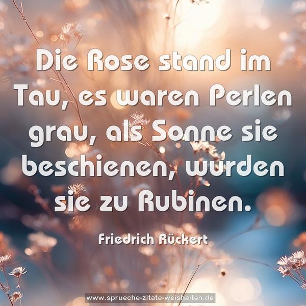 Die Rose stand im Tau,
es waren Perlen grau,
als Sonne sie beschienen,
wurden sie zu Rubinen.