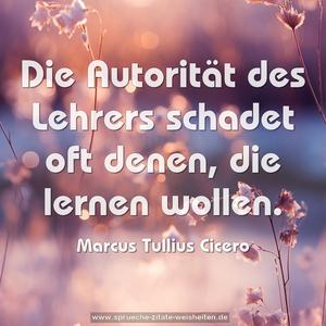 Die Autorität des Lehrers schadet oft denen, 
die lernen wollen.