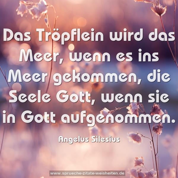 Das Tröpflein wird das Meer, wenn es ins Meer gekommen,
die Seele Gott, wenn sie in Gott aufgenommen.