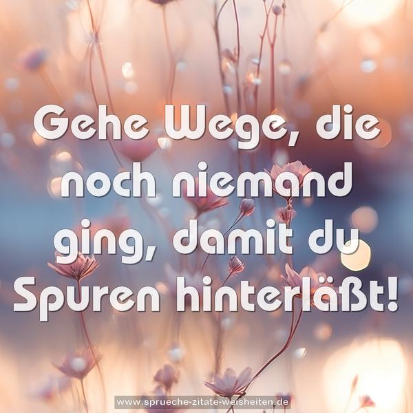 Gehe Wege, die noch niemand ging,
damit du Spuren hinterläßt!